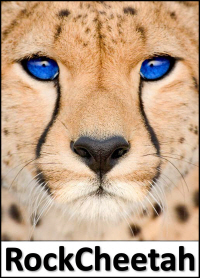Go to the RockCheetah Web Site